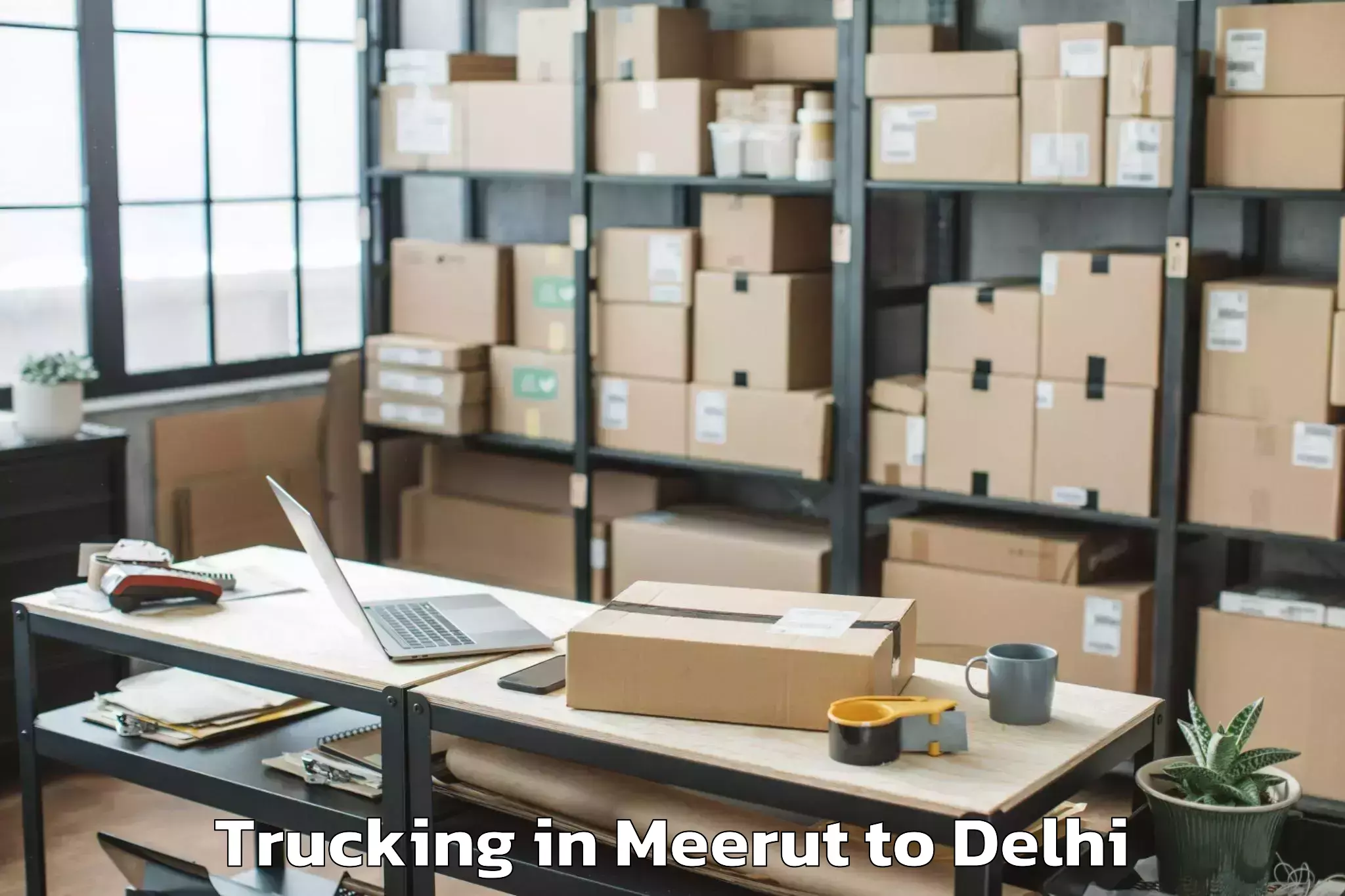 Meerut to Pitampura Trucking Booking